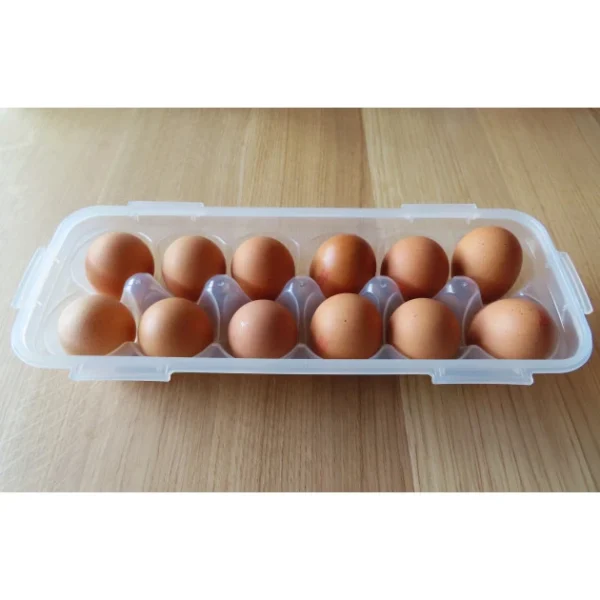 Satisfait ou Remboursé Boîte 12 Œufs Plastique 32 X 13 Cm X H 7,5 Cm Lock And Lock 5