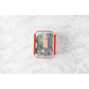 vente à bas prix Boîte De Conservation Connectée 1,04 L Rouge Stor’eat Mastrad 14