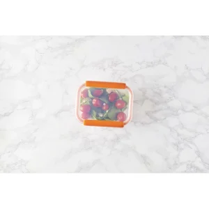 Paris Boîte De Conservation Connectée 640 Ml Orange Stor’eat Mastrad 14