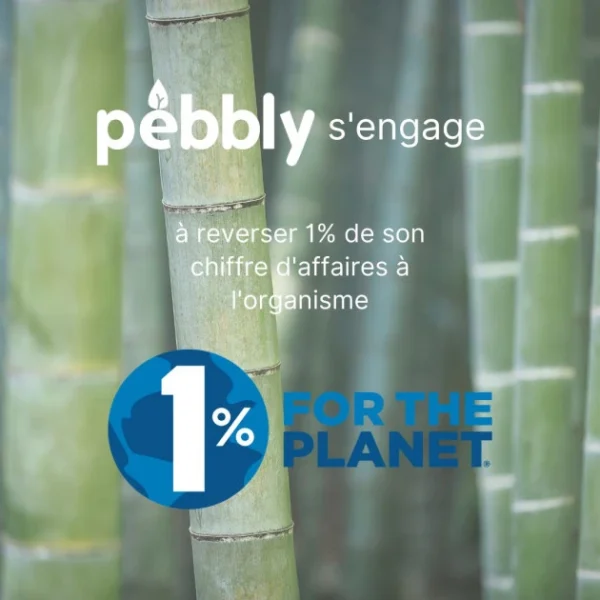vente luxe pas cher Boîte De Conservation En Verre Et Bambou Carré 520 Ml Pebbly 4